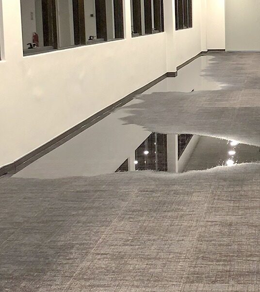luxe carpet cleaning
