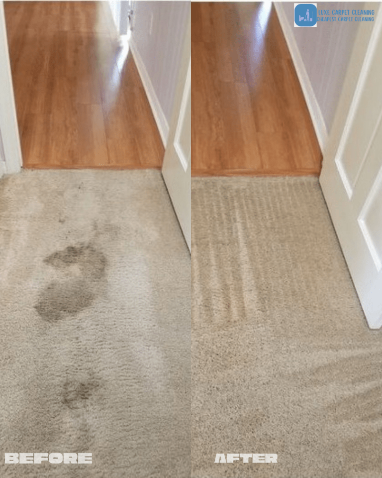 Luxe Carpet Cleaning